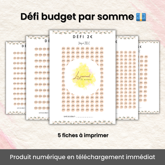 Défi Budget par Somme 💶